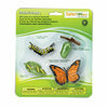 Safari Lebenszyklus sets