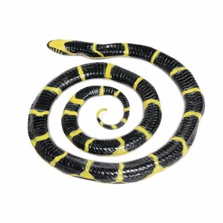 Safari Insekten, Reptilien und Amphibien