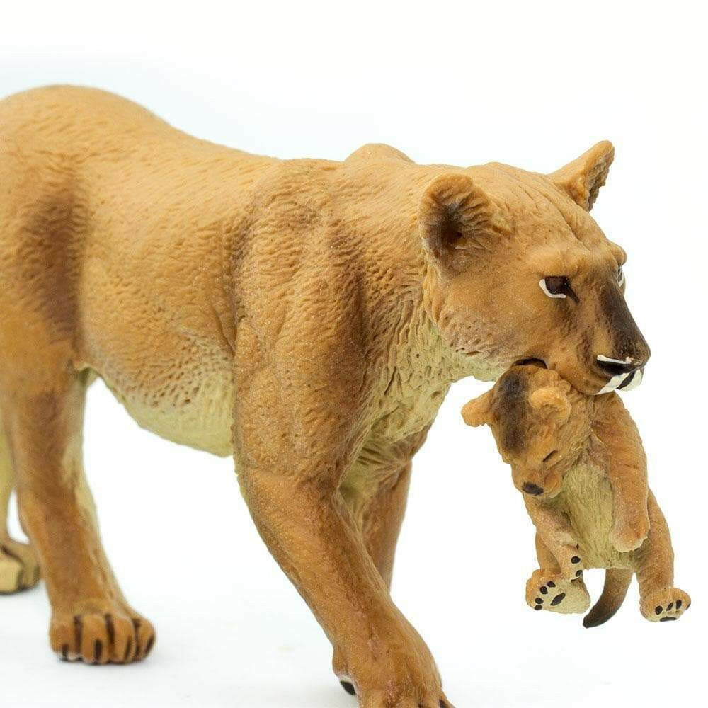 Safari 225229 Leeuwin met jong