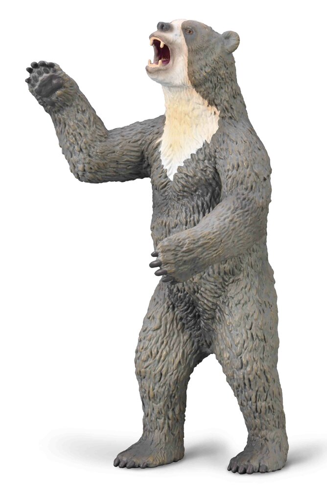 Collecta 80026 Kortsnuitbeer