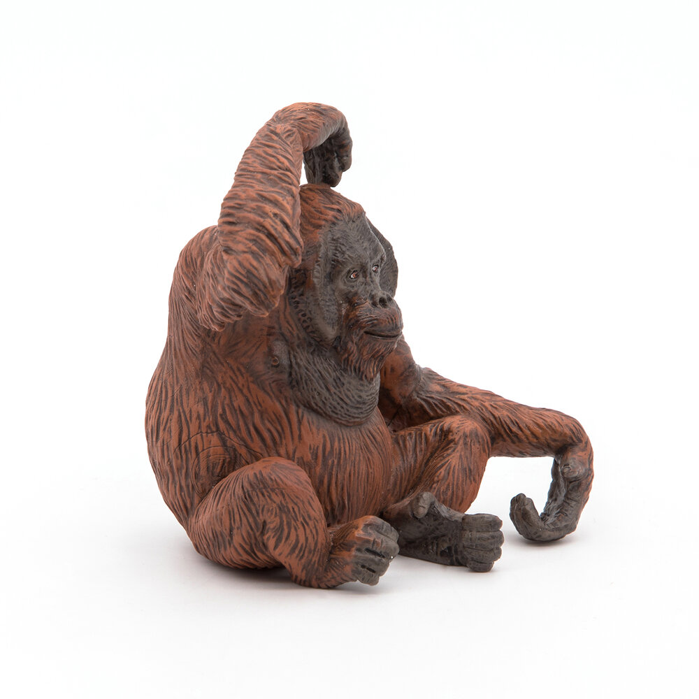 Papo 50120 Orang-oetan