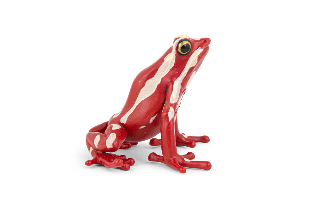 Papo 50315 Rode Kikker