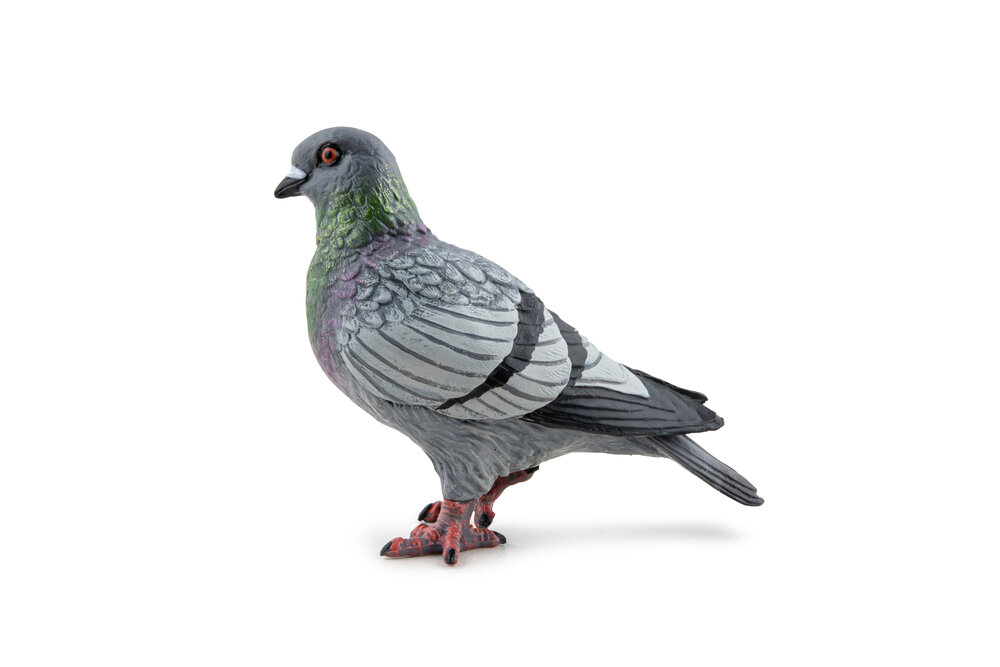 Papo 50295 Duif