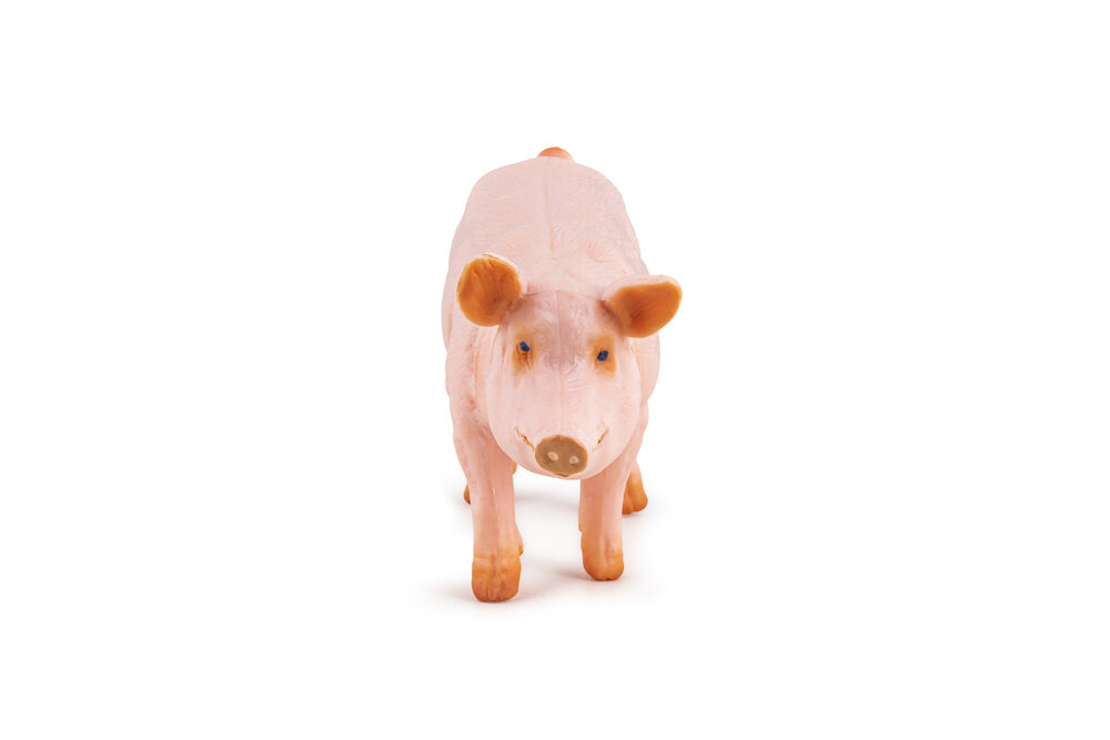 Papo 51188 Zeug (Varken)