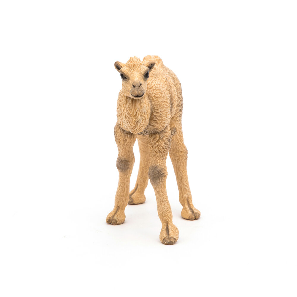 Papo 50221 Kamelen jongPapo 50221 Kamelen jong