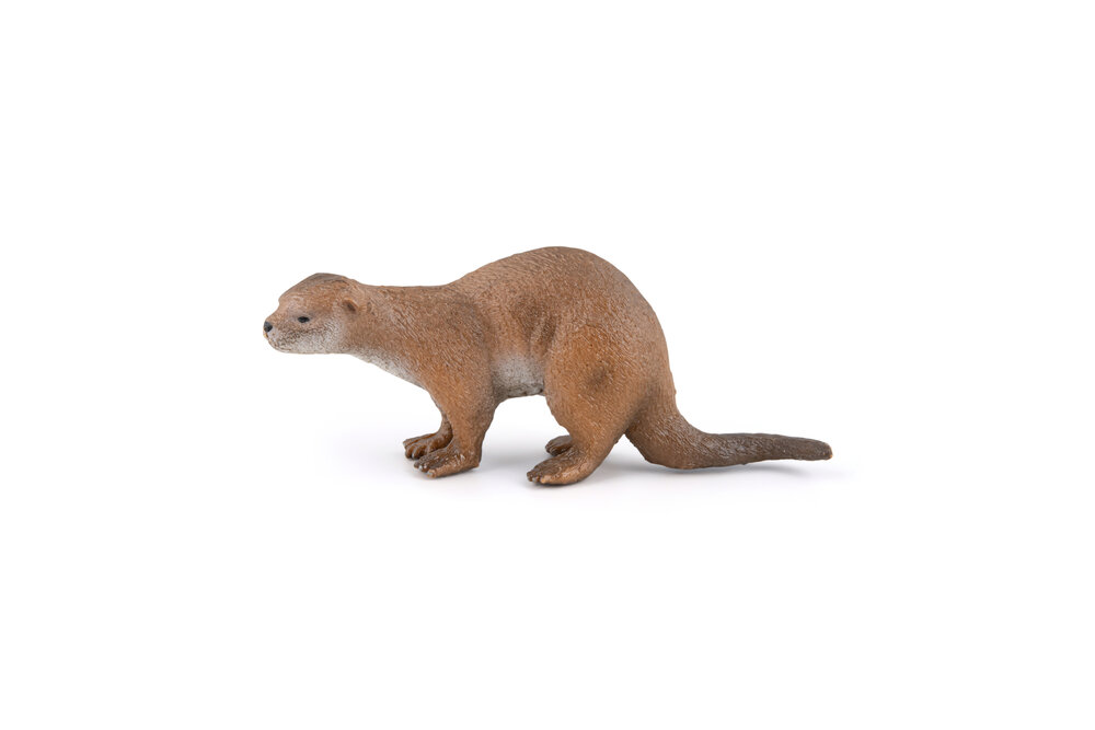 Hoofdfoto   Verplaatsen  Verwijderen