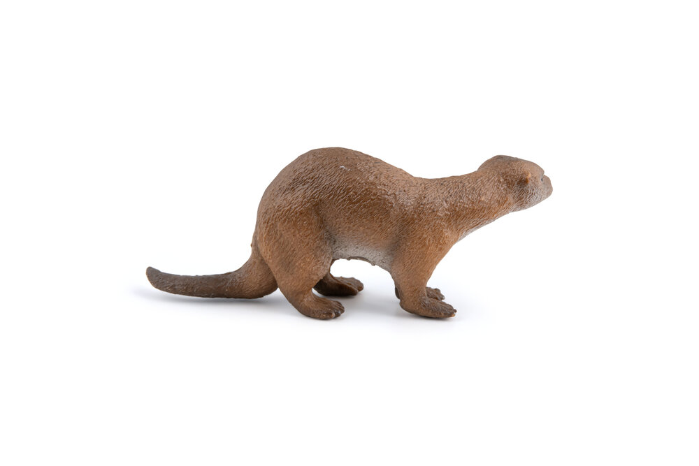 Hoofdfoto   Verplaatsen  Verwijderen