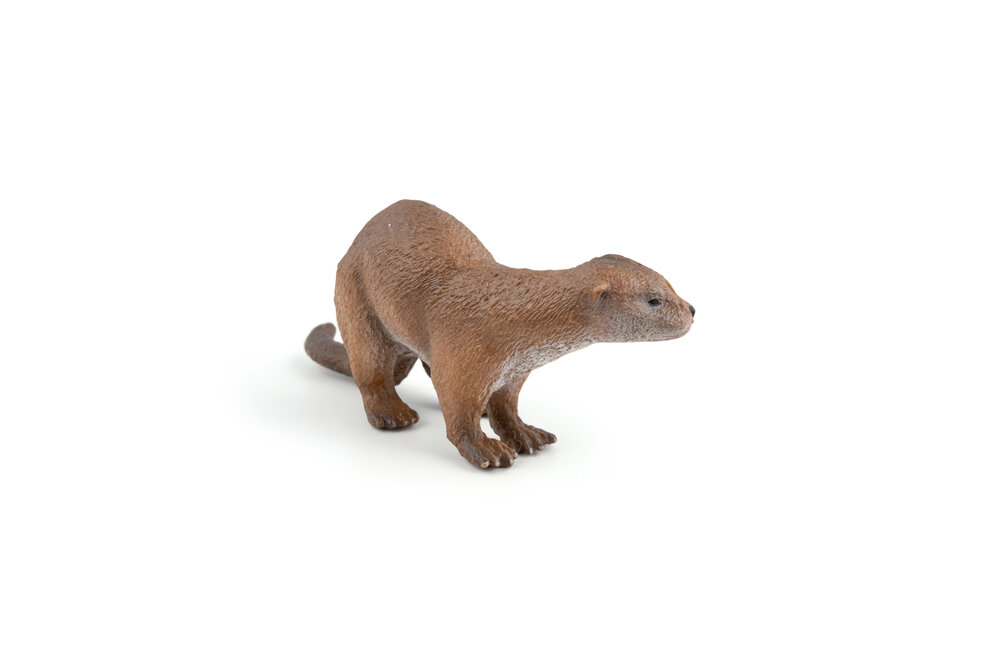 Hoofdfoto   Verplaatsen  Verwijderen