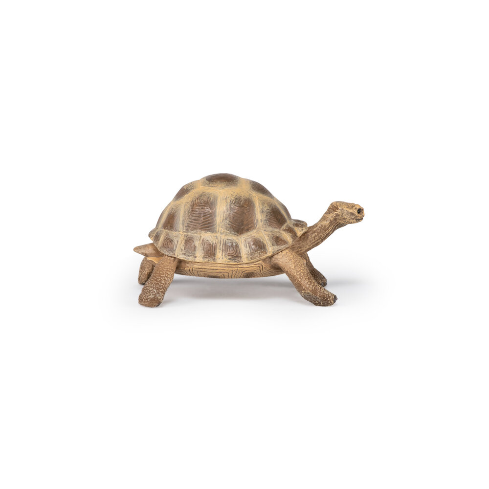 Papo 50264 Griekse landschildpad