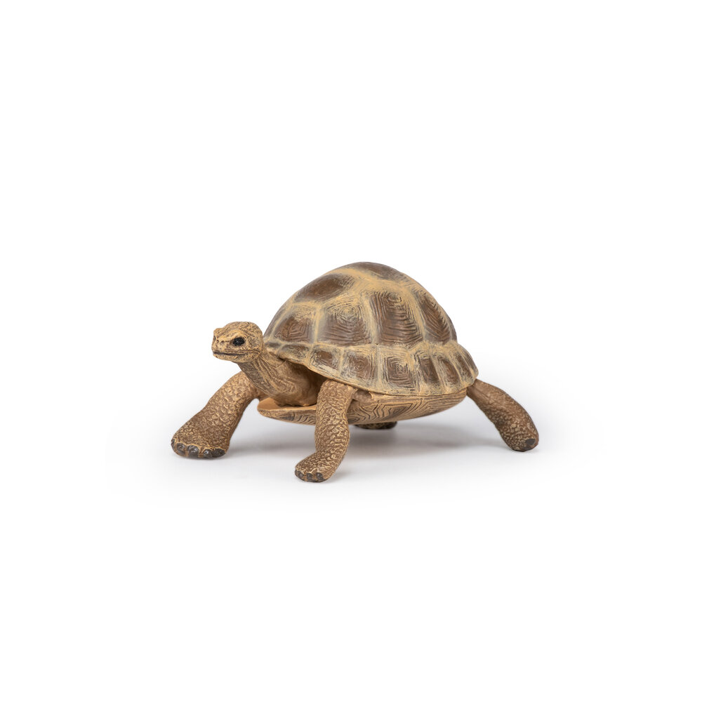 Papo 50264 Griekse landschildpad