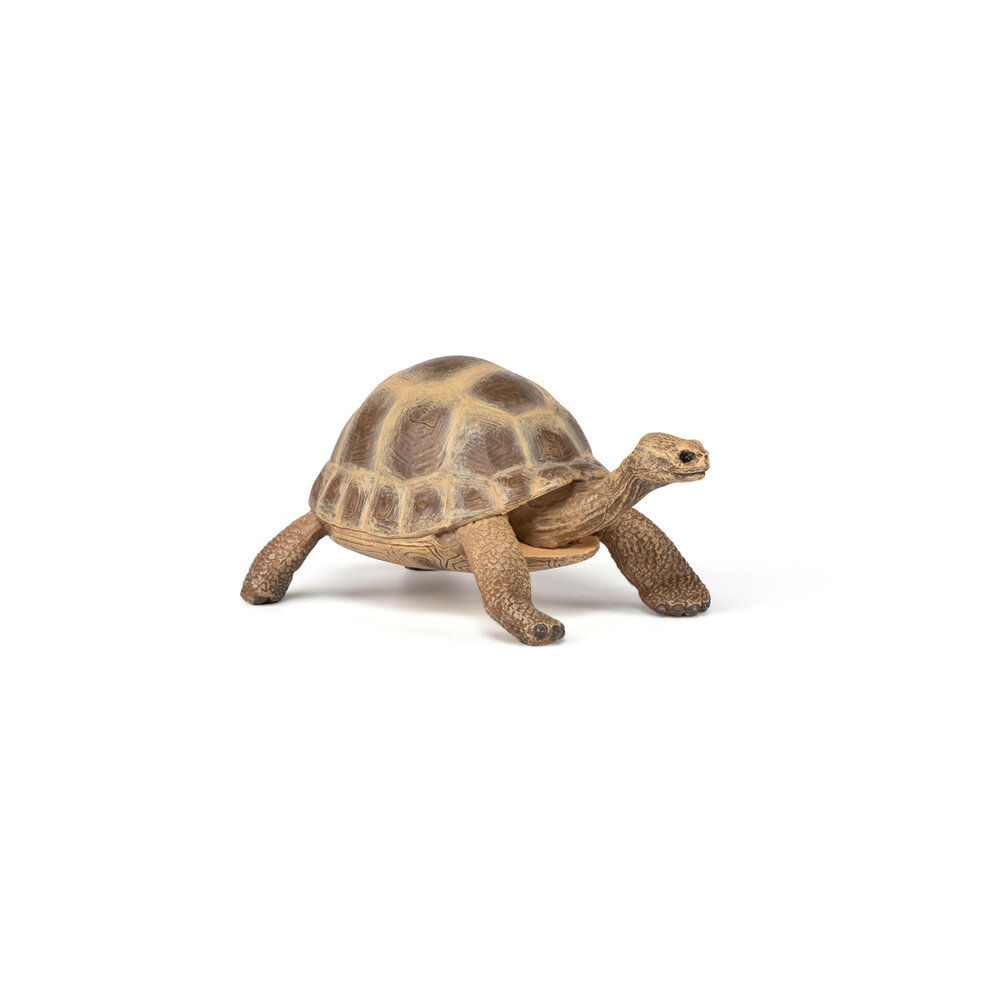 Papo 50264 Griekse landschildpad