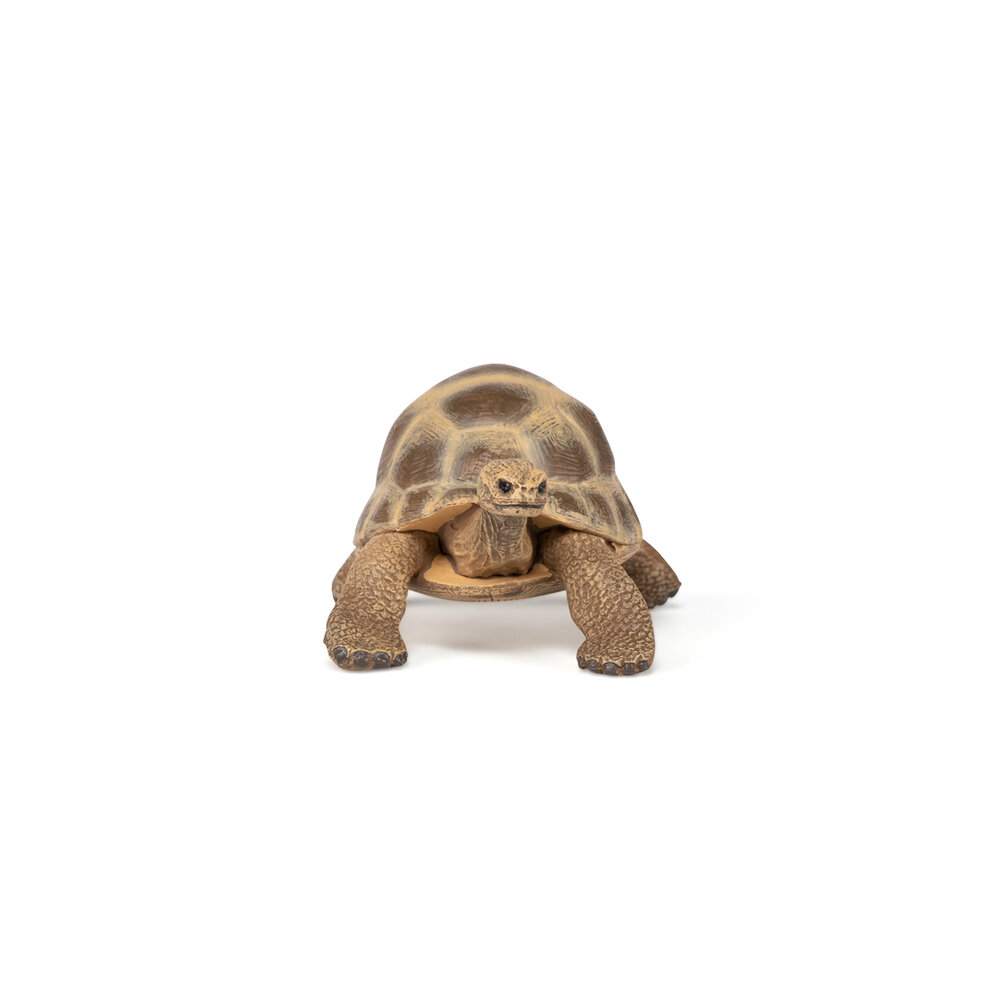 Papo 50264 Griekse landschildpad