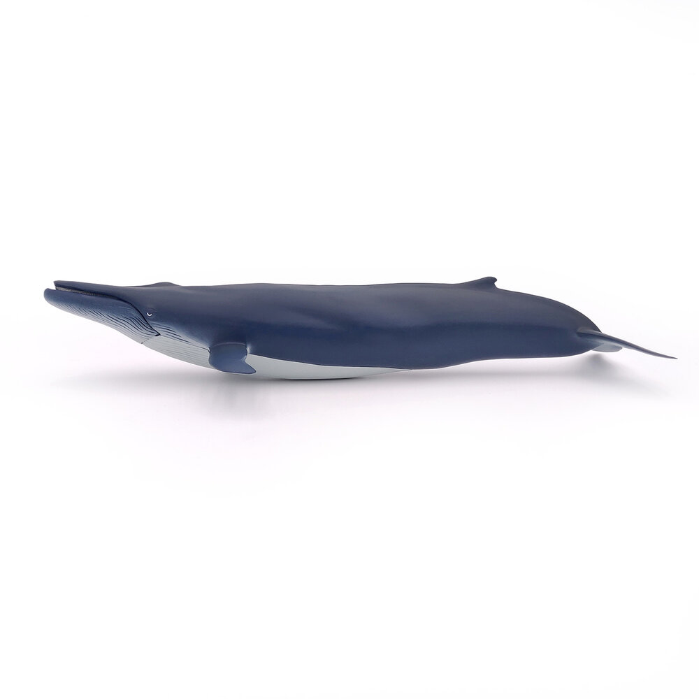 Papo 56037 Blauwe Walvis