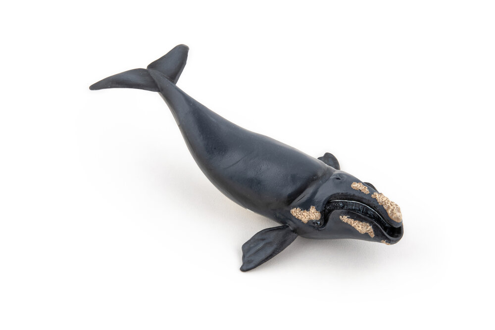 Papo 56057 Noordkaper (Walvis)