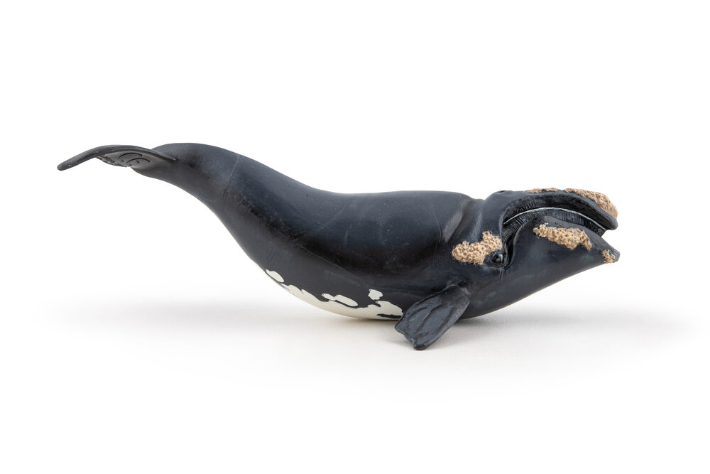 Papo 56057 Noordkaper (Walvis)