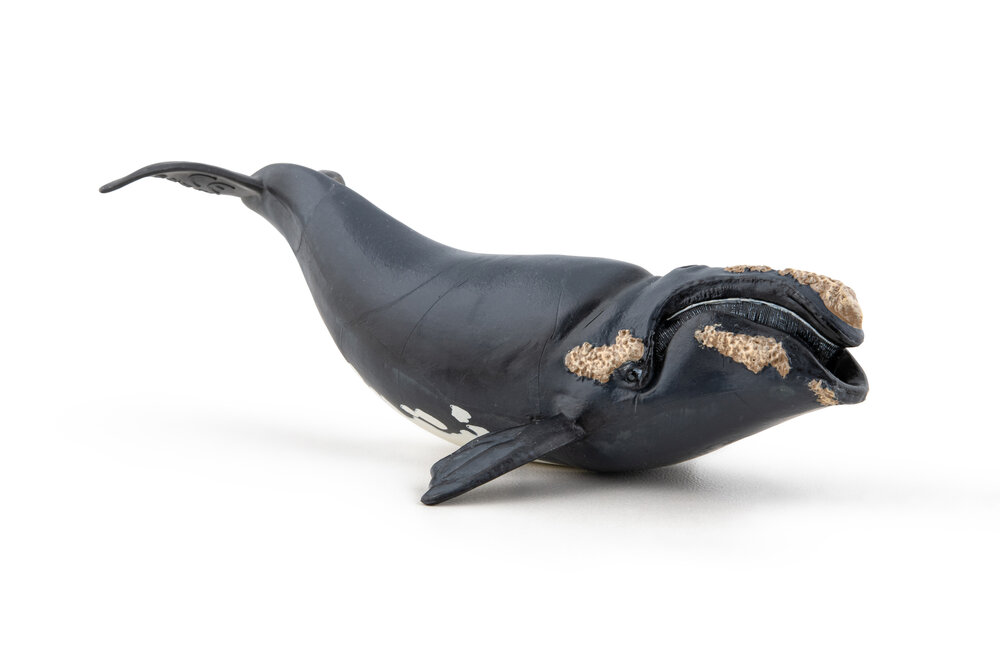 Papo 56057 Noordkaper (Walvis)