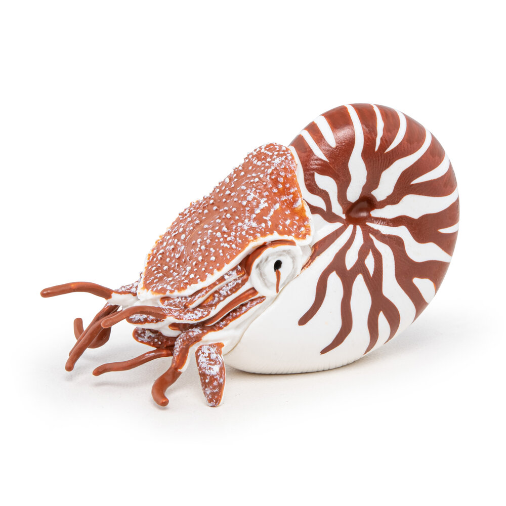 Papo 56061 Nautilus