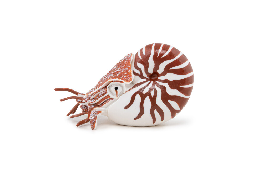 Papo 56061 Nautilus