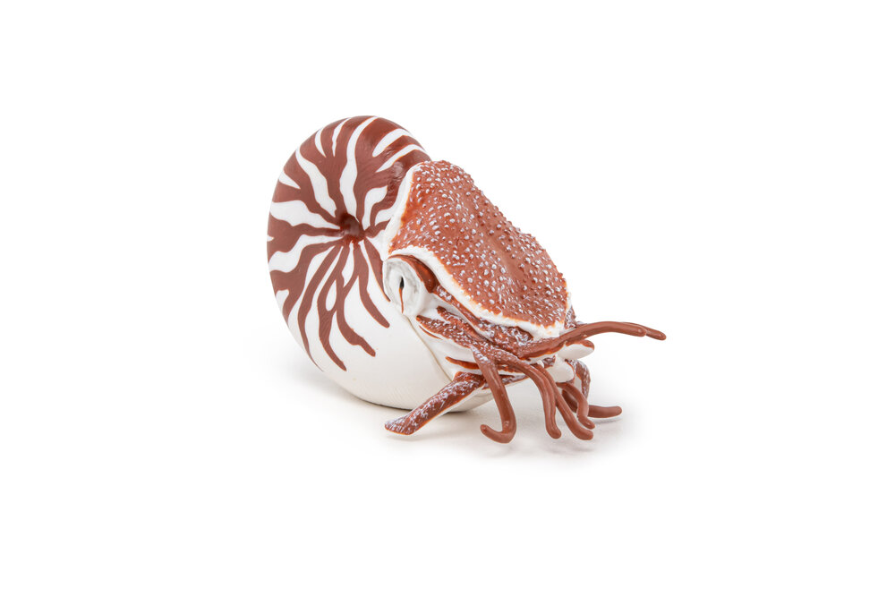 Papo 56061 Nautilus