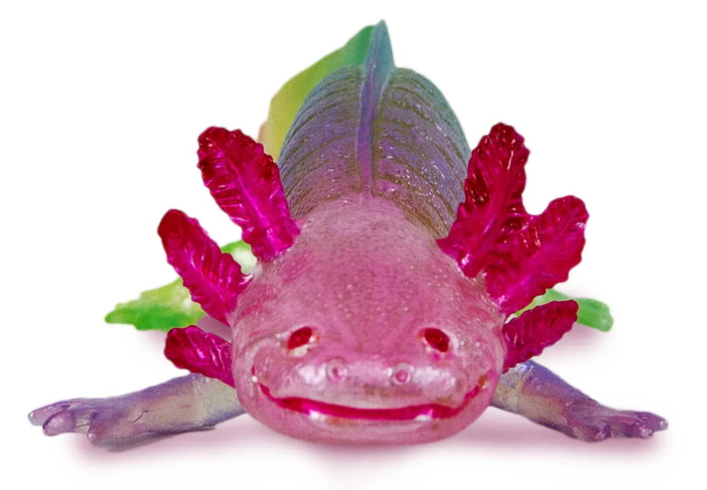 Safari 110487 Regenboog Axolotl