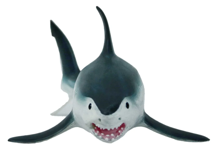 Safari 110345 Haringhaai