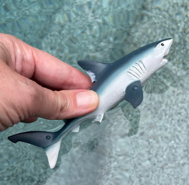 Safari 110345 Haringhaai