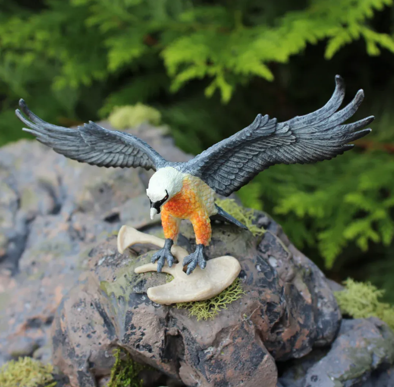 Safari  108200 Baardgier (Lammergier)