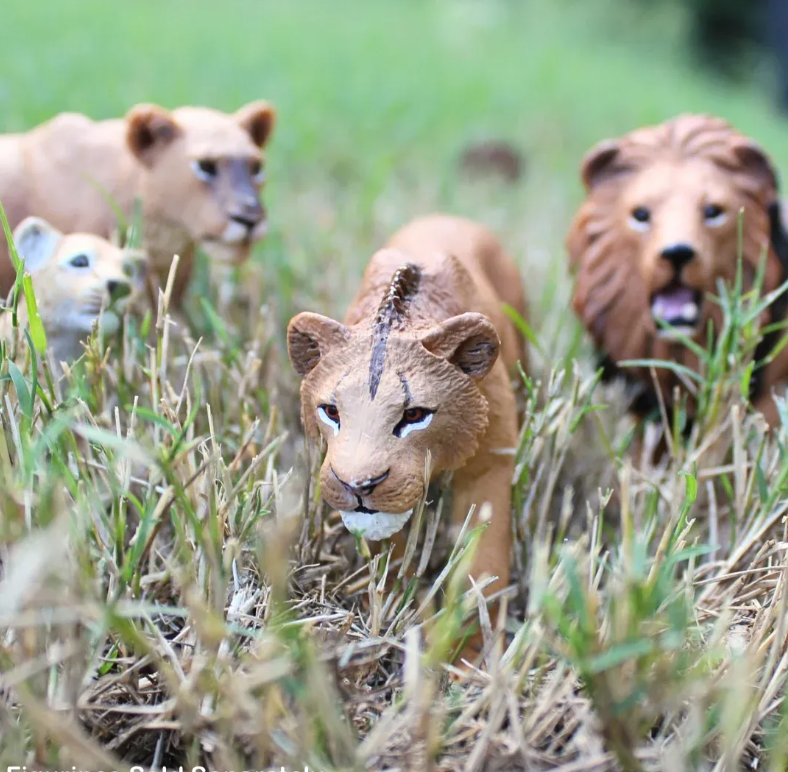 Safari 104992 Adolescente Leeuw