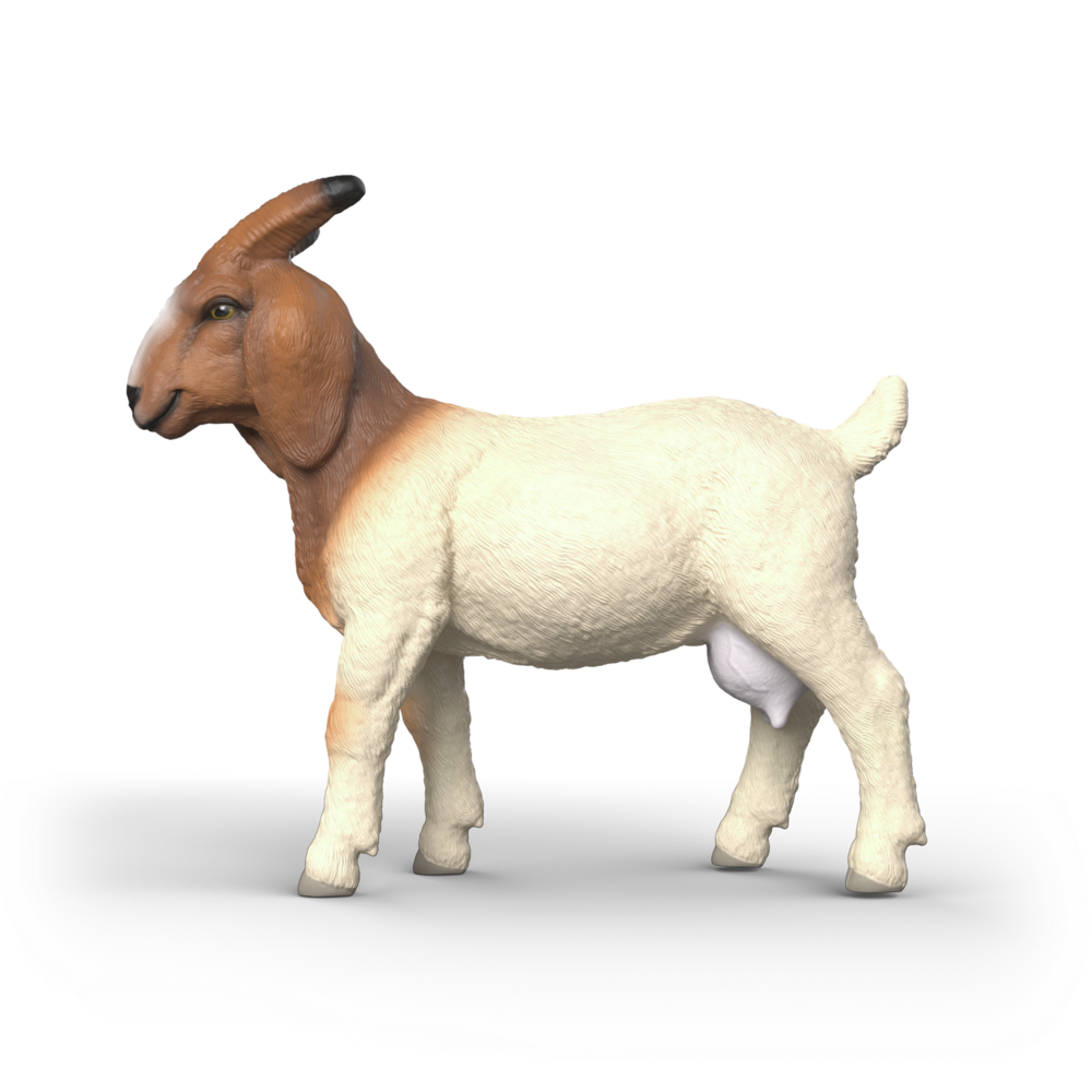 Schleich 14929 Boergeit