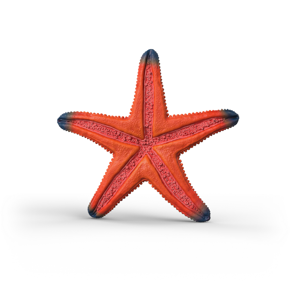 Schleich 14902 Zeester (kleurverandering)