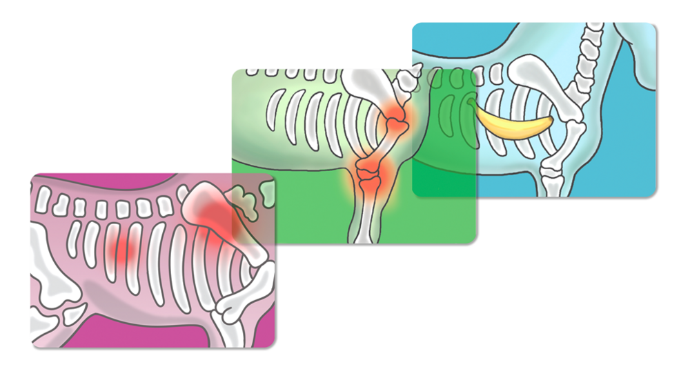 Schleich 42787 Paardenkliniek Helende Hoeven (Paarden Ziekenhuis)