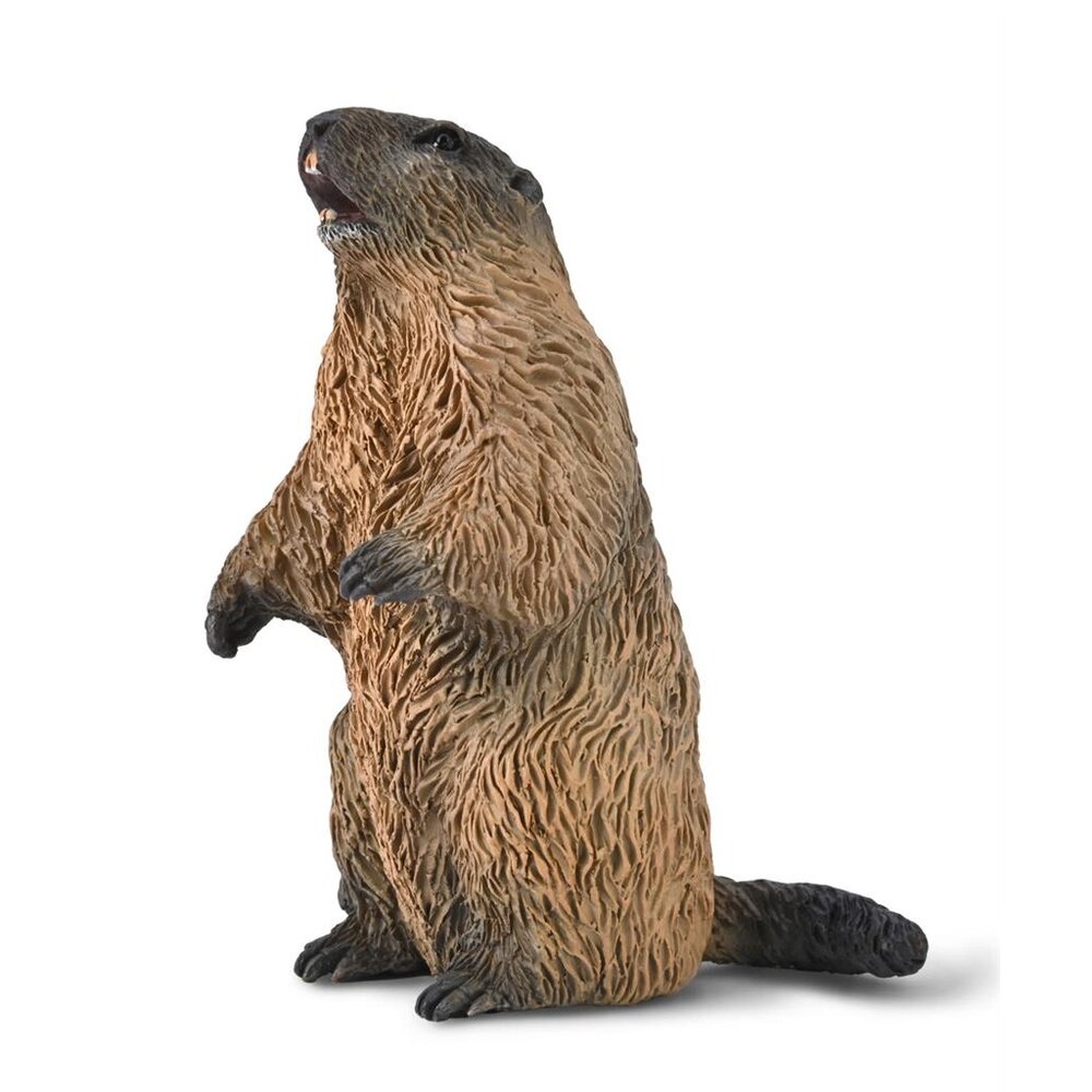 Collecta 80044 Marmot