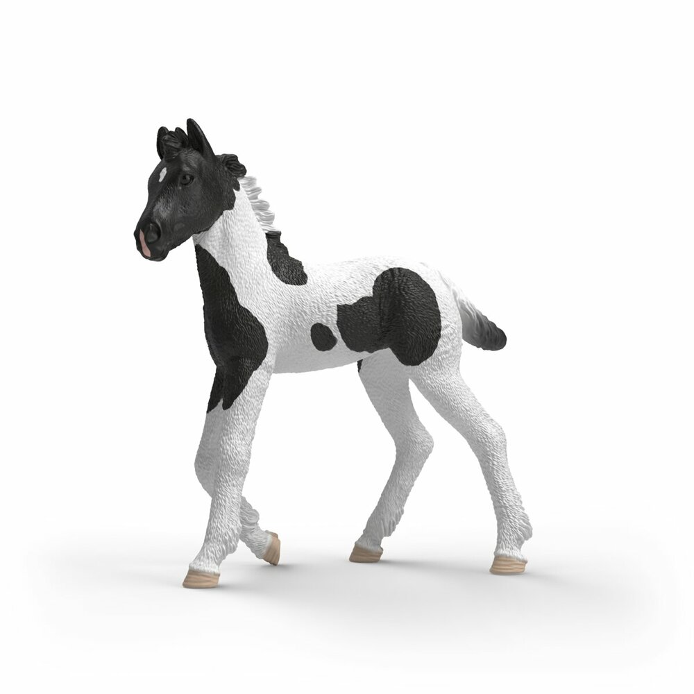 Schleich 81481 Verzamelveulen Rocky van Schleich