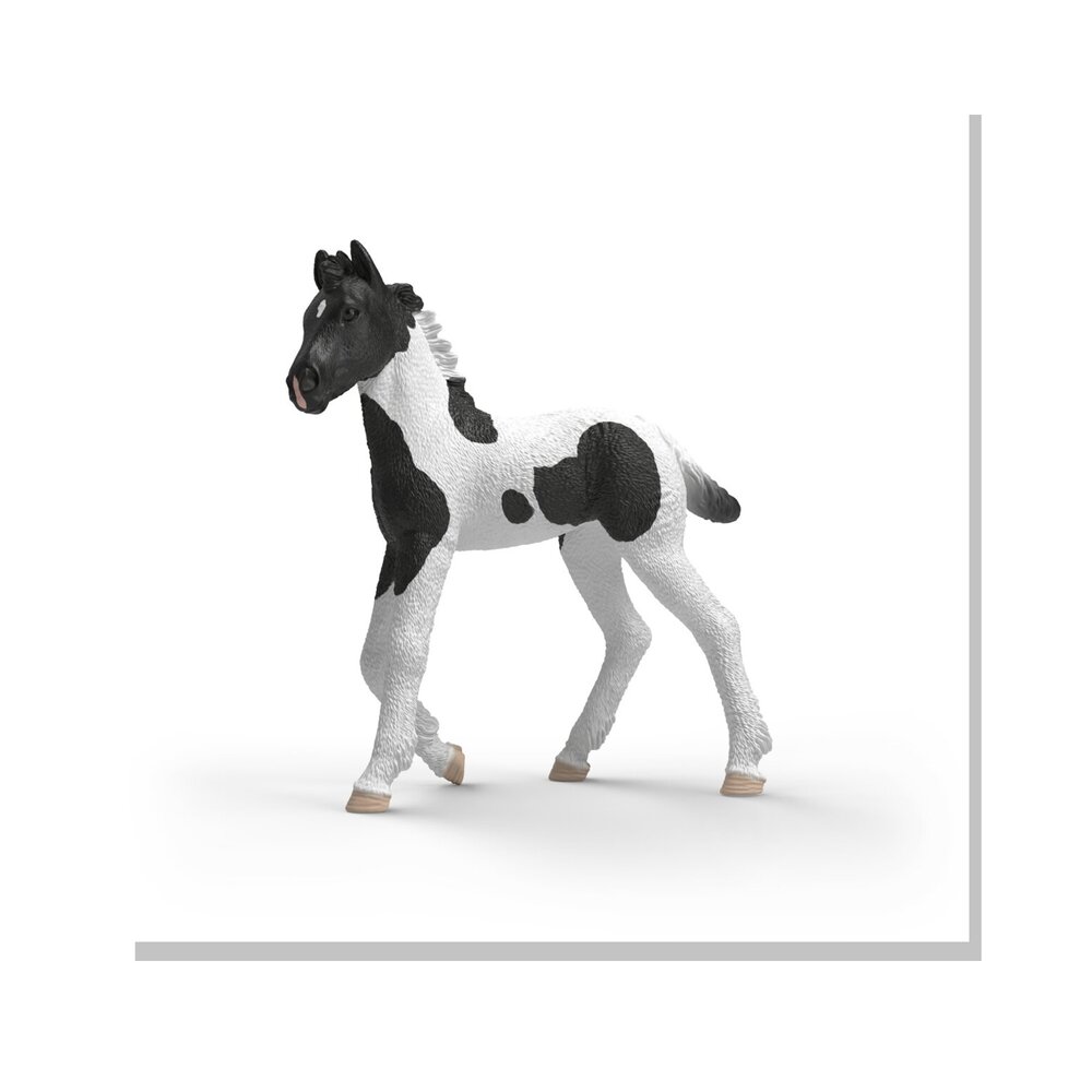 Schleich 81481 Verzamelveulen Rocky studio-variant
