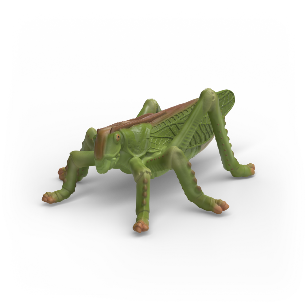 Schleich 42741 Insecten ontdekkingsset afbeelding 4