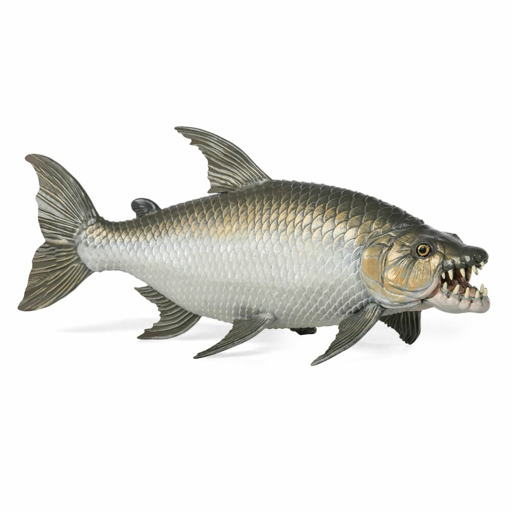 Goliath TigerFish Figurine van Papo