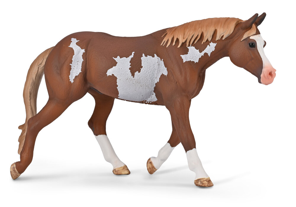 American Paint Horse Stallion Chestnut Overo van Collecta