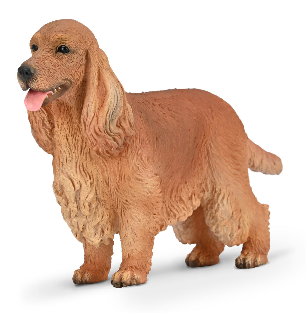 English Cocker Spaniel van Collecta