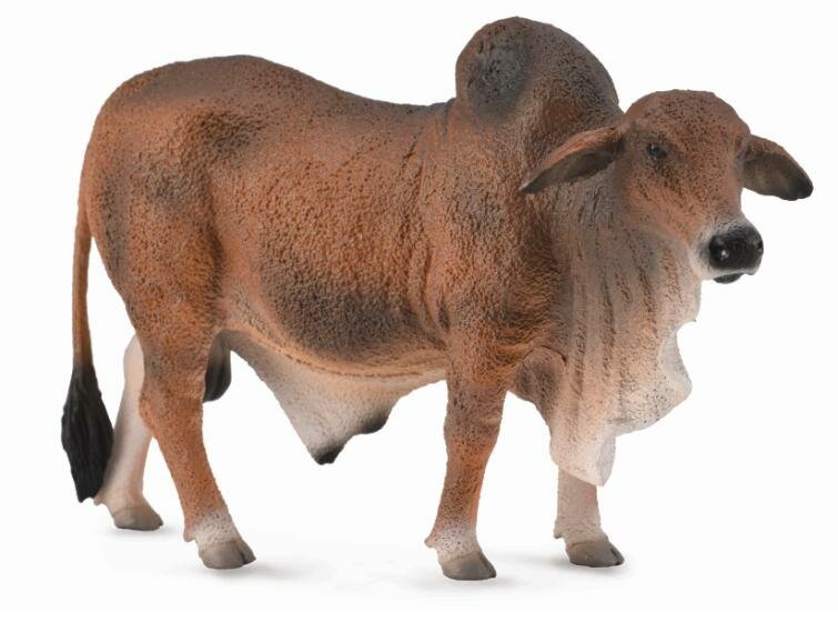 Red Brahman Bull van Collecta
