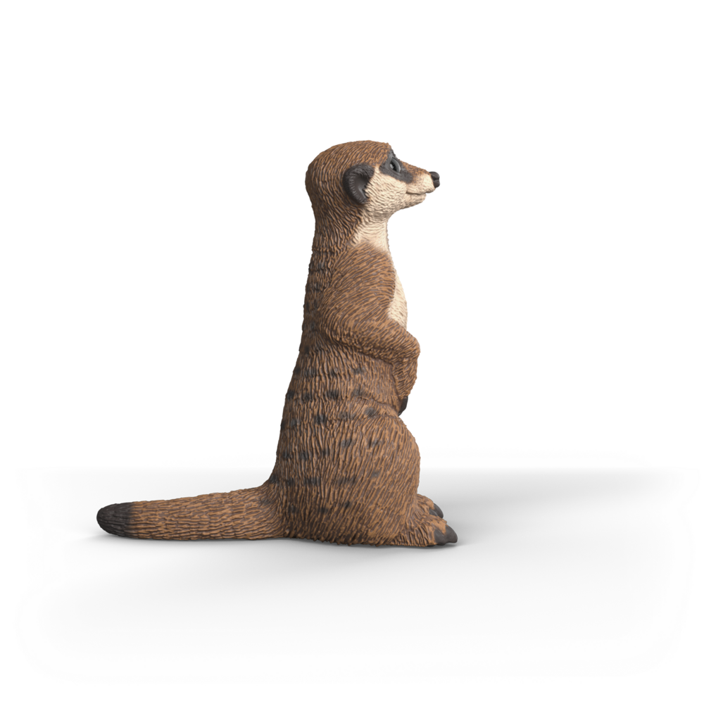 Schleich 14935 Stokstaartje