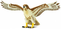 Safari 151029 Roodstaartbuizerd