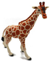 Safari 268429 Netzgiraffe