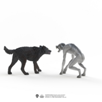 Schleich 14906 Weerwolf vs. Faunaat