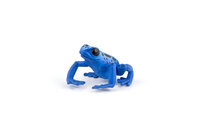 Papo 50175 Equatoriale blauwe Kikker