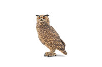 Papo 50305 Eagle uil