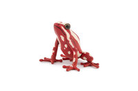 Papo 50315 Rode Kikker