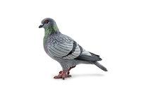 Papo 50295 Duif