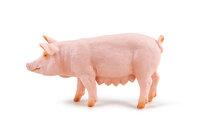 Papo 51188 Zeug (Varken)