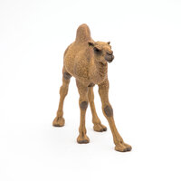 Papo 50151 Dromedari