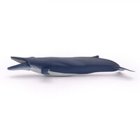 Papo 56037 Blauwe Walvis